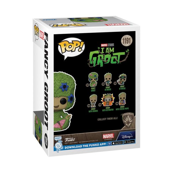 Fancy Groot #1191 in verpakking achterkant